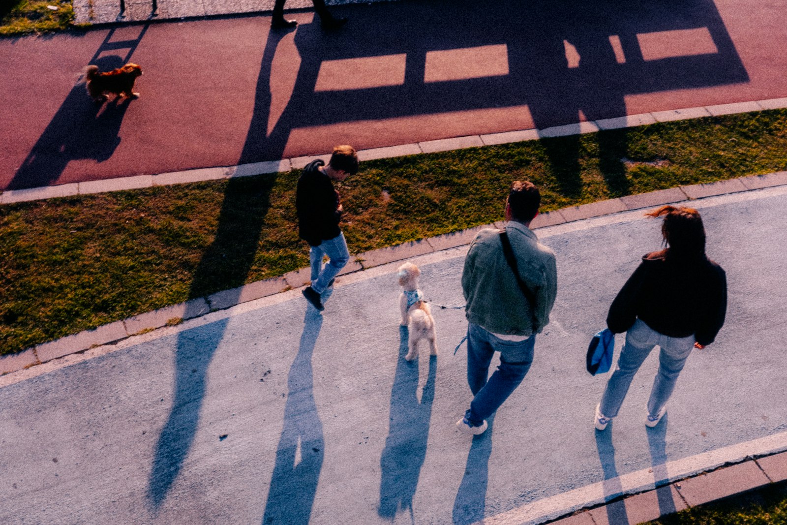 Choosing a Veterinary Clinic in San Jose: What Pet Owners Should Look For